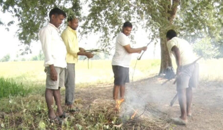 Sitaphal1